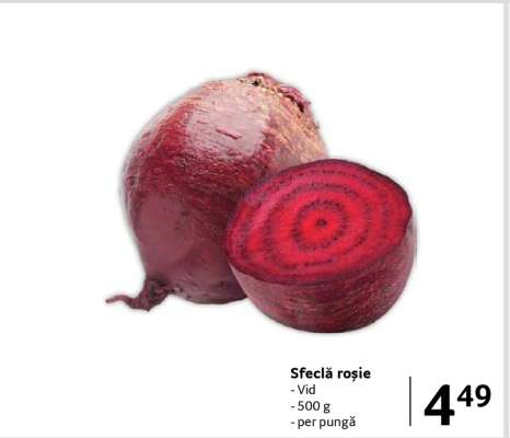 Sfeclă roşie
