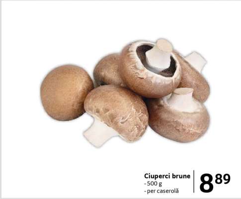 Ciuperci brune
