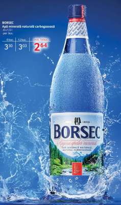 BORSEC