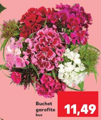 Buchet garofite
