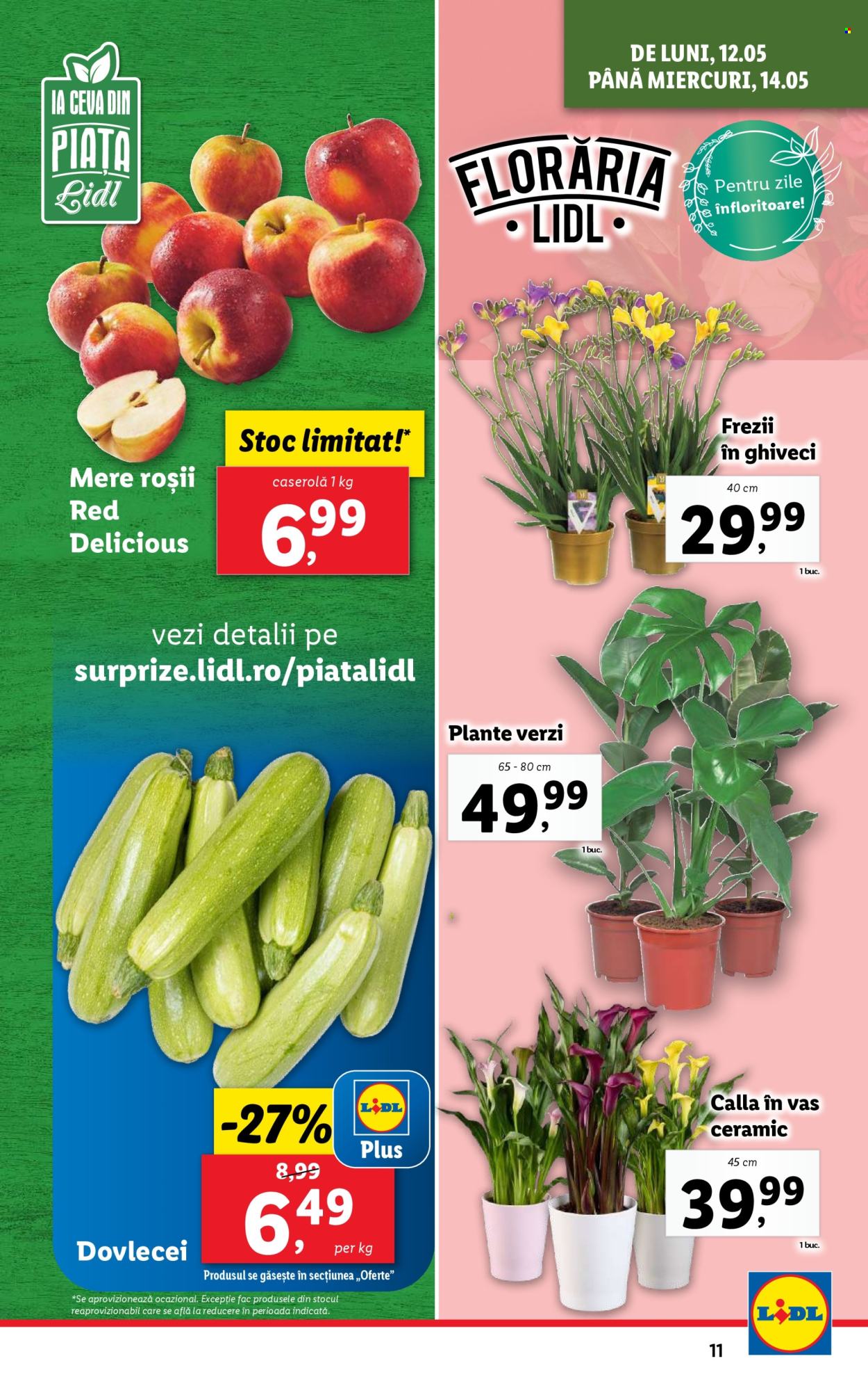Cataloage Lidl  - 12.05.2025 - 18.05.2025. Pagina 11.