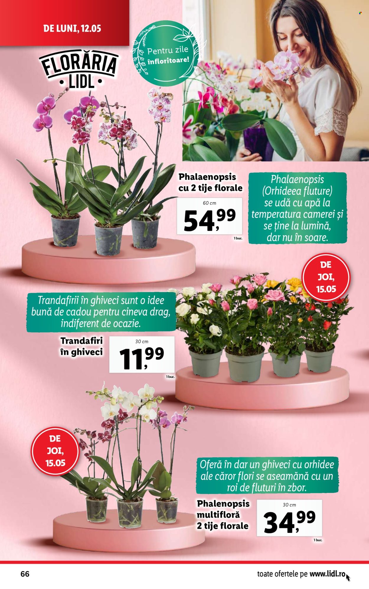 Cataloage Lidl  - 12.05.2025 - 18.05.2025. Pagina 66.