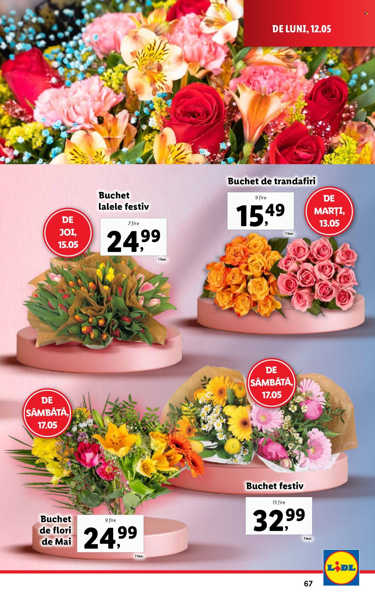 Cataloage Lidl  - 12.05.2025 - 18.05.2025. Pagina 67.