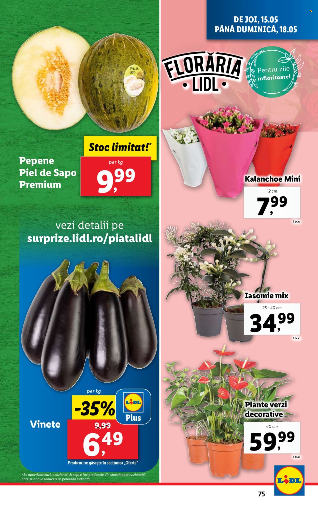 Cataloage Lidl  - 12.05.2025 - 18.05.2025. Pagina 75.