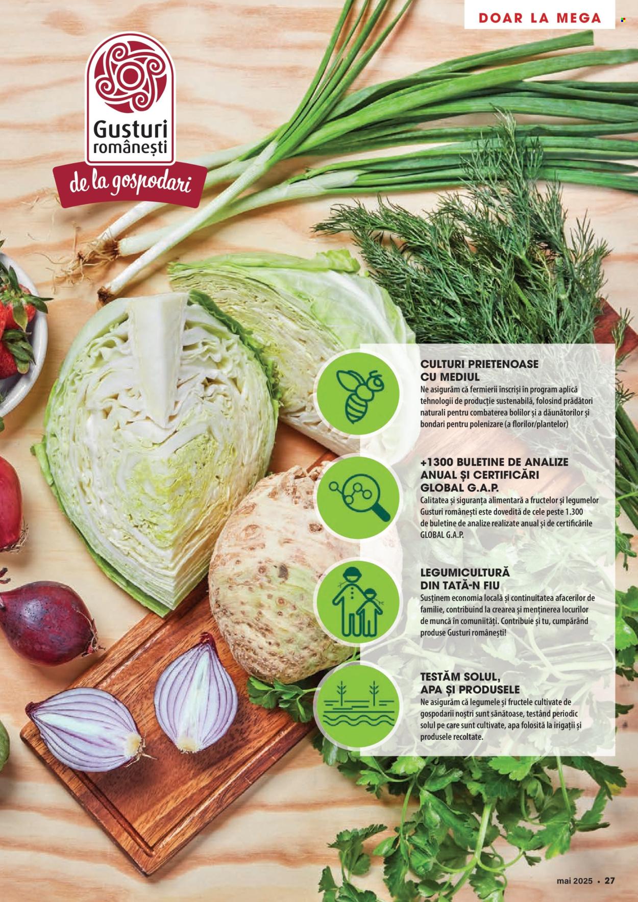 Cataloage Mega Image  - 01.05.2025 - 31.05.2025. Pagina 27.