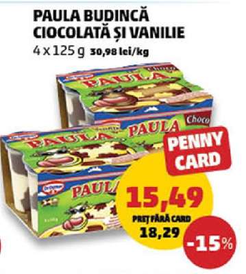 PAULA BUDINCĂ ciocolată și vanilie