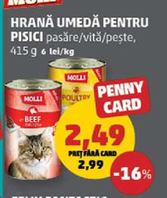 HRANĂ UMEDĂ PENTRU PISICI