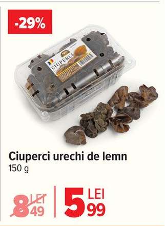 Ciuperci urechi de lemn