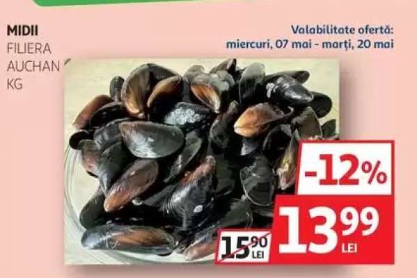 MIDII FILIERA AUCHAN KG