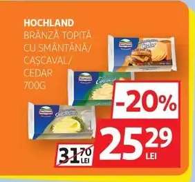 HOCHLAND Brânză Topită cu Smântână/Cașcaval/Cedar 700g