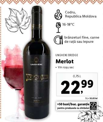 Ungheni Bridge Merlot