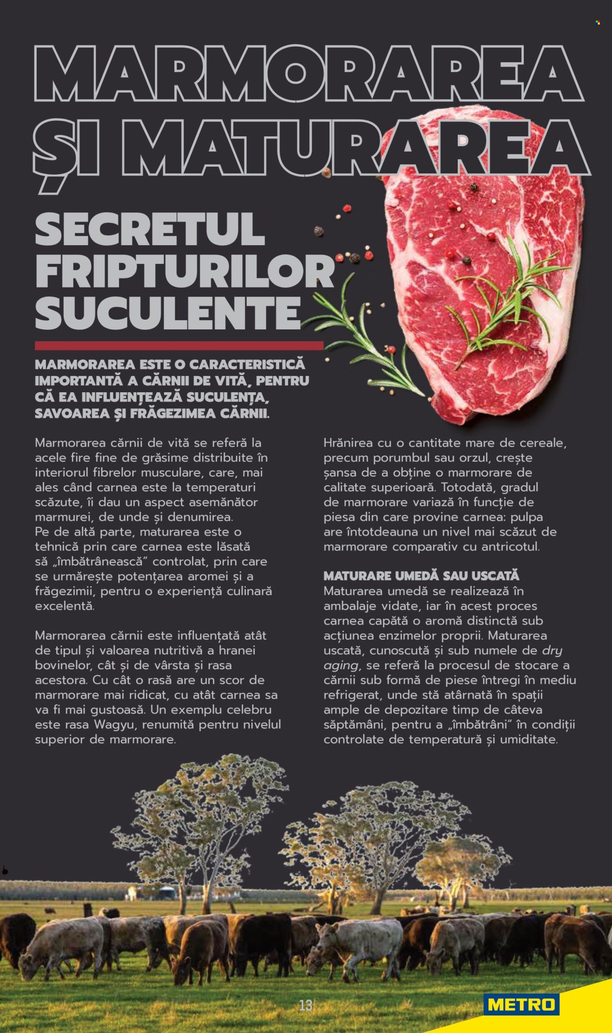 Cataloage Metro . Pagina 13. Pagina 13