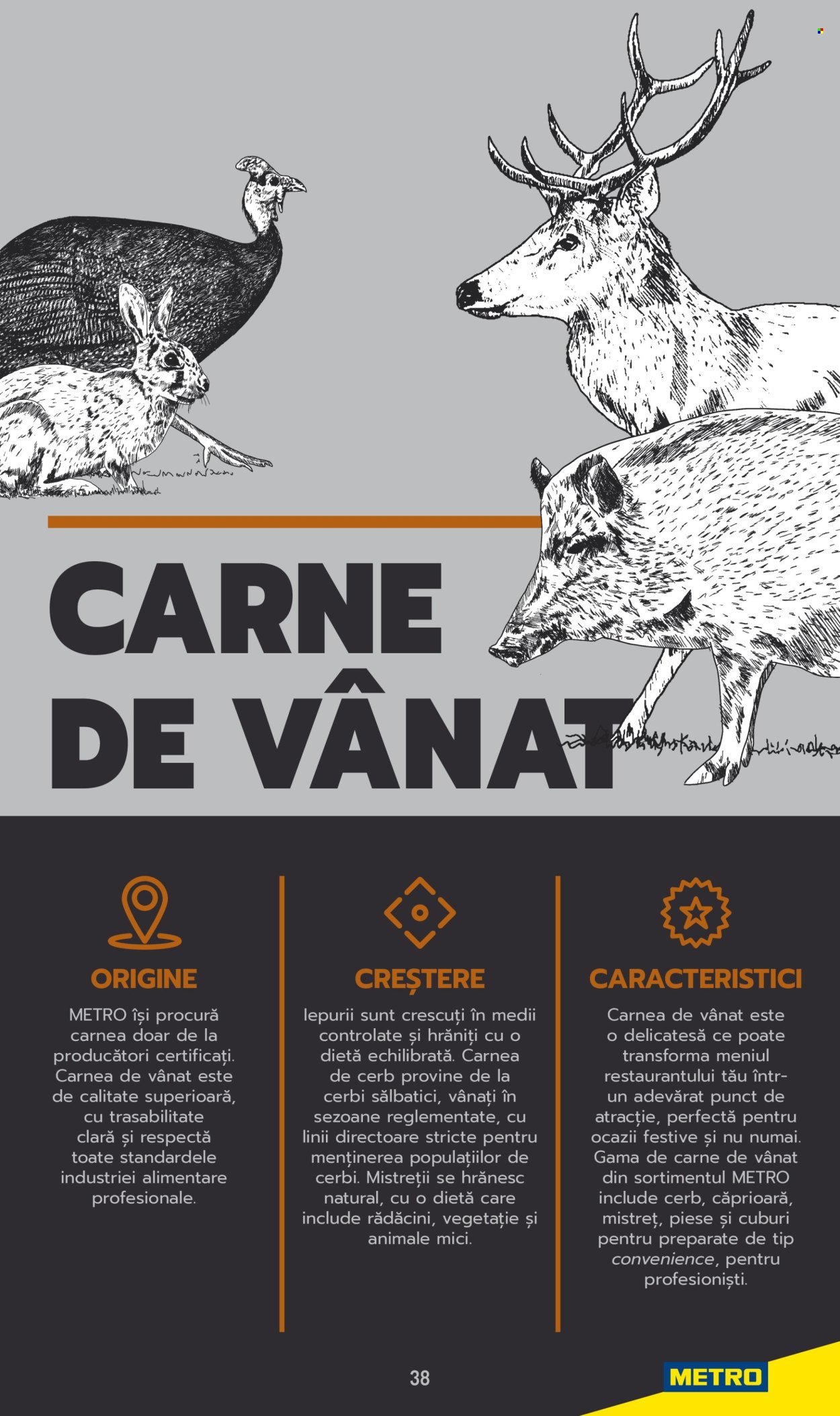 Cataloage Metro . Pagina 38. Pagina 38