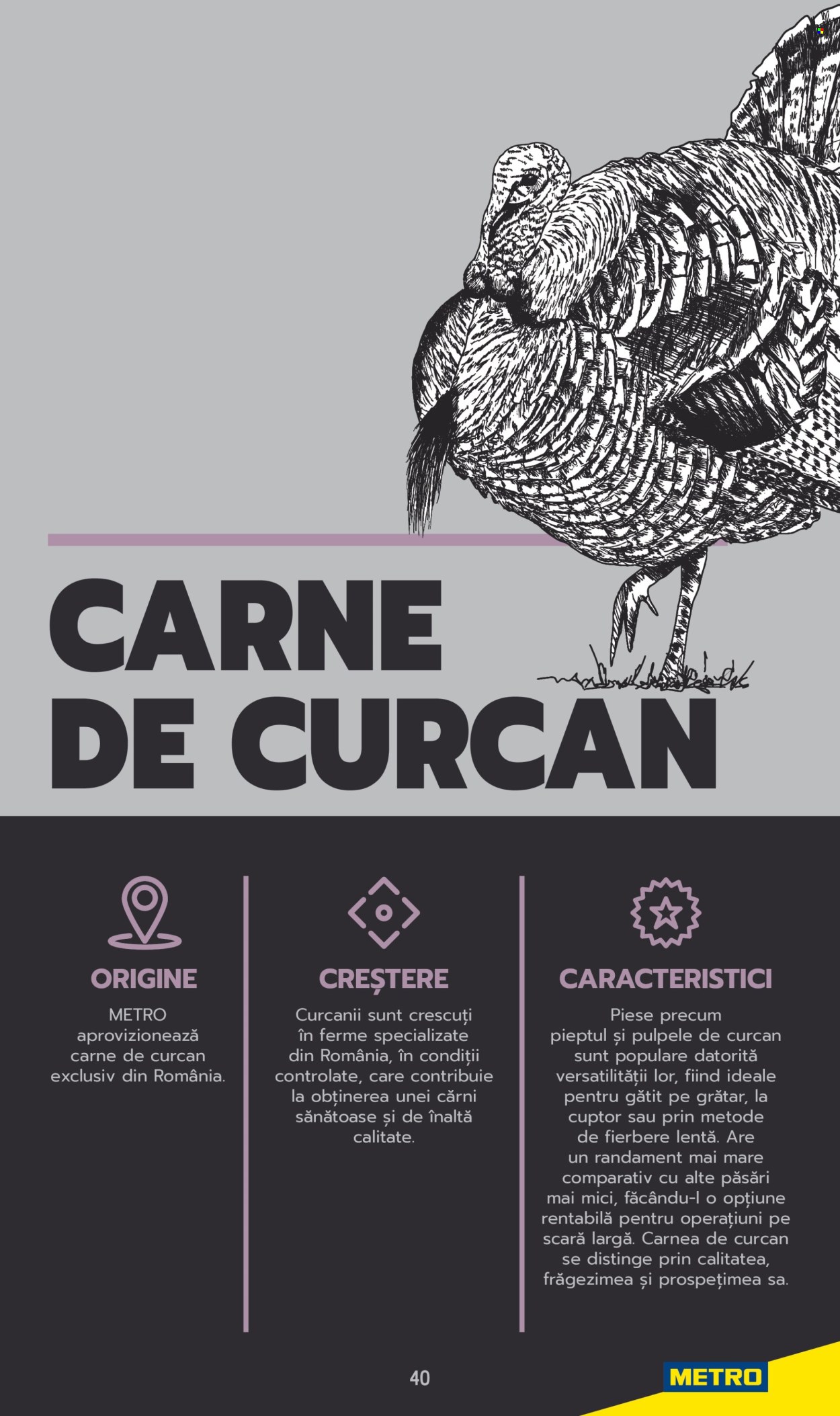 Cataloage Metro . Pagina 40. Pagina 40