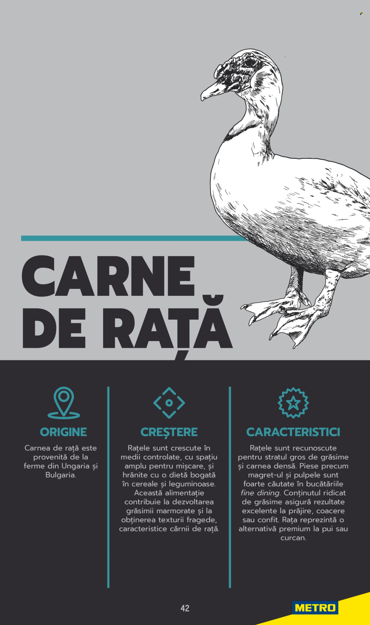 Cataloage Metro . Pagina 42. Pagina 42